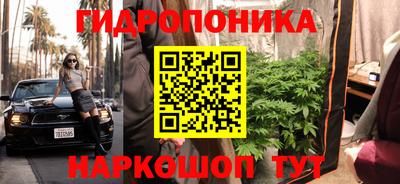 ПСИЛОЦИБИНОВЫЕ ГРИБЫ Кулебаки