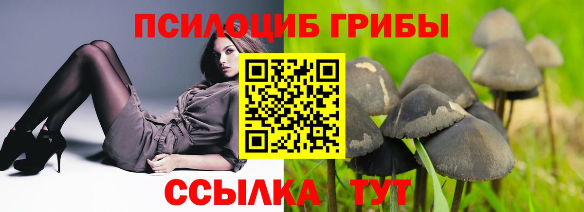 Калуга  Псилоцибиновые грибы Cubensis  Вход с VPN  Галлюциногенные грибы Magic Shrooms 